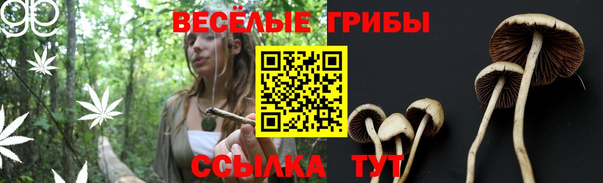 Сухой Лог  Псилоцибиновые грибы MAGIC MUSHROOMS  Вход с VPN 